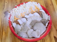 -东镇老火锅(长春路首店)