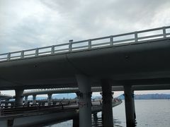 -演武大桥观景平台