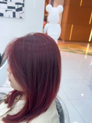 -东方麒麟·潘多拉SALON