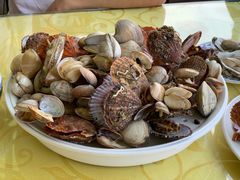 -叶存利海鲜大馅饺子(东戴河止锚湾店)