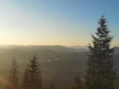-长虫山生态公园风景林
