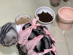 -联合动物医院(光谷诊疗中心)