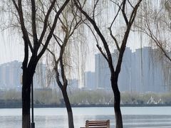 -咸阳湖景区