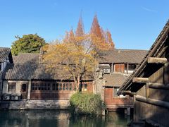 -乌镇西栅景区