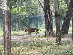 -秦皇岛野生动物园