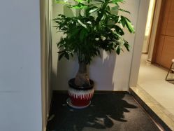 点击看大图 -苑苑vbeauty科技美容SPA