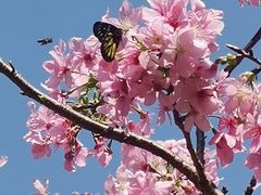 -桃花涧