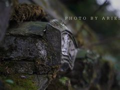 -普陀山风景区-佛顶山
