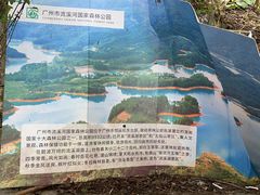 -广州市流溪河国家森林公园