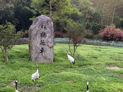 -杭州野生动物世界