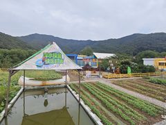 -宁波九龙湖开元度假村