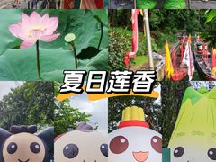 -荔湾湖公园