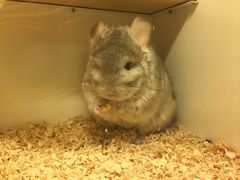 -龙猫仔乐园(惠福东路店)