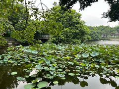-荔湾湖公园
