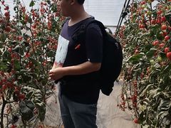 -杨柳青园艺科技博览园