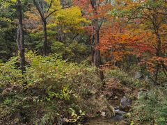 -玉渡山自然风景区