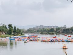 -枫香湖儿童公园