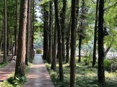 -采石矶景区