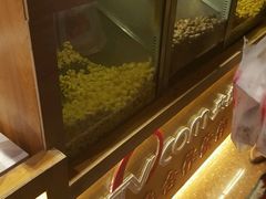 -栗妃·贡爪(文化宫店)
