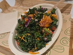 -油梨树 AVOCADO TREE(亮马桥店)