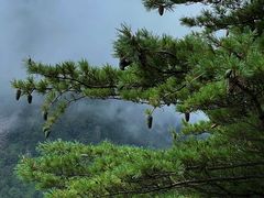 -终南山南五台景区