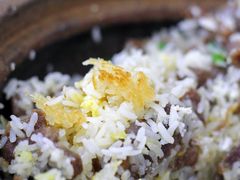 -红星光发煲仔饭(大石街店)