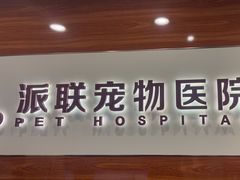 -派联宠物医院·24h·CT·异宠