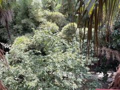 -四川大学(华西校区)