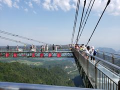 -梦幻奥陶纪景区