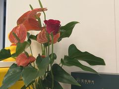 -蓉城阳光推拿馆(羊子山路店)