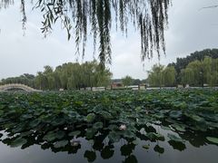 -郭守敬纪念馆