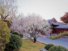 -迎泽公园