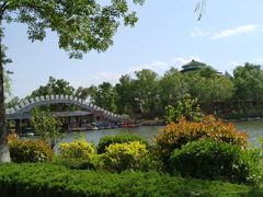 -太阳部落