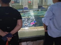 -阳光悦动游泳健身会所