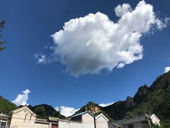 -大岭沟猕猴桃谷风景区
