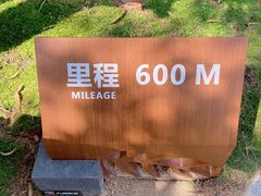 -板樟山森林公园