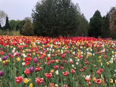 -石家庄市植物园
