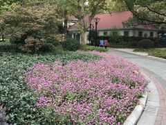 -徐家汇源景区-衡山公园