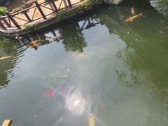 -香麒园·过桥米线·南湖雅宴