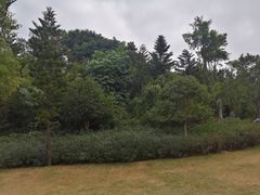 -牛岗山公园
