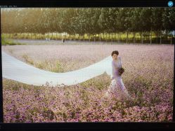 点击看大图 戛纳印象摄影工作室(南开定制店)-戛纳印象摄影(潮拍定制馆)