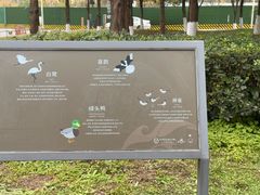 -白鹭湾湿地公园