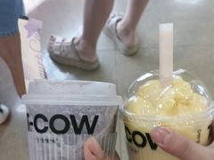 -一只酸奶牛(来福士店)