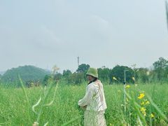 -光明小镇欢乐田园