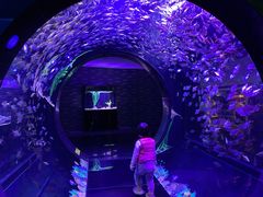 -成都浩海立方海洋公园