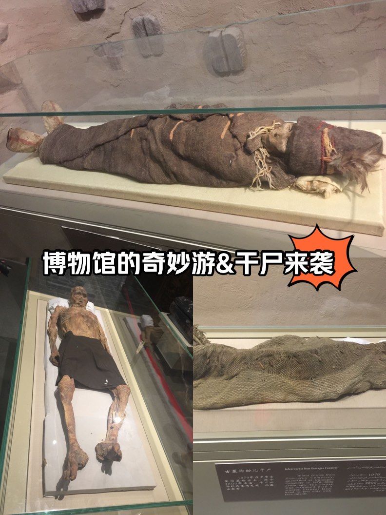 博物馆奇妙夜,干尸的震撼观感