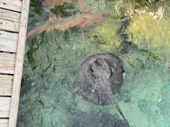 -中央格兰德岛温泉度假酒店 - 全包