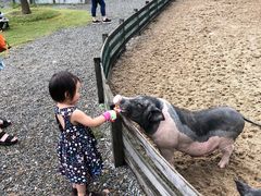 -前小桔亲子创意农场·草莓采摘·露营烧烤