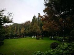 -上海市保健医疗中心