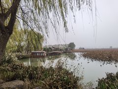-池杉湖湿地公园